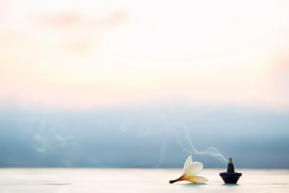 SenWisdom Astrology Studio